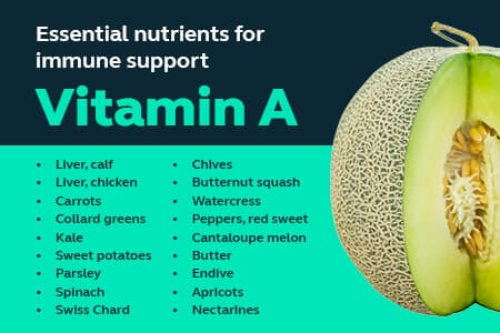 A list of foods that are high in vitamin A + a cantaloupe melon